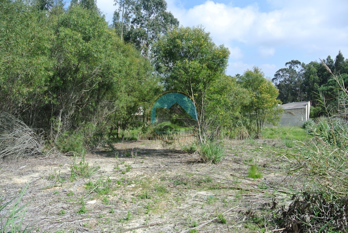 Terreno para construção no Alto Nobre, Nadadouro