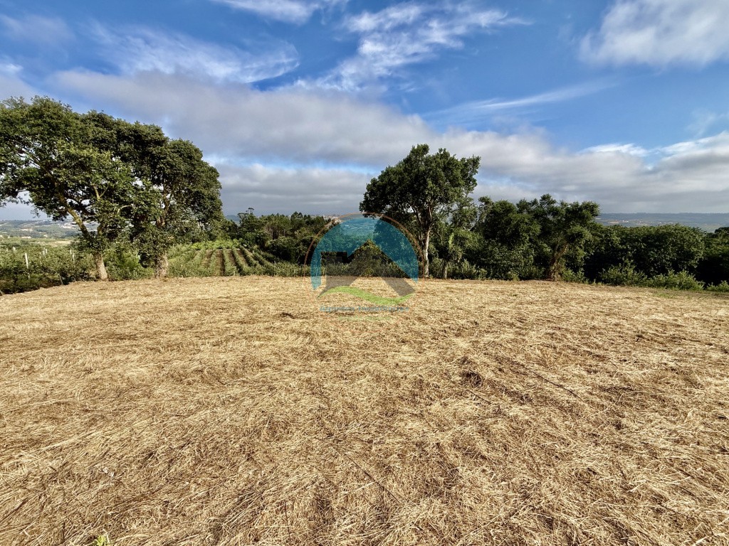 Terreno com vista panorâmica de campo - a 15 minutos de São Martinho do Porto