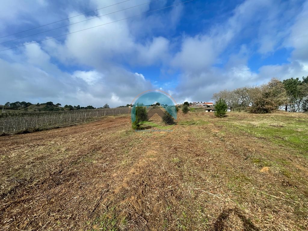 Terreno com projeto para 2 moradias e vista deslumbrante para